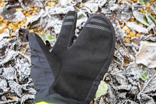 The Gore Trigger glove on some frosted leaves