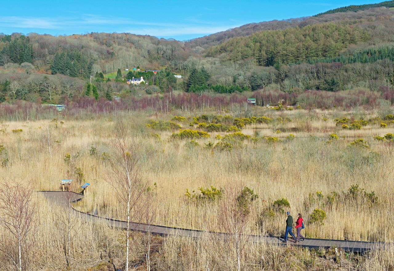 Cors Dyfi, the nature reserve run by the Montgomery Wildlife Trust, near Machynlleth, Powys.