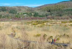 Cors Dyfi, the nature reserve run by the Montgomery Wildlife Trust, near Machynlleth, Powys.