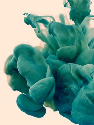 Alberto Seveso - Disastro Ecologico