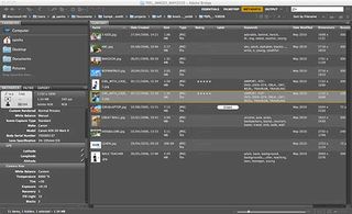 photo organization tools: Adobe Bridge