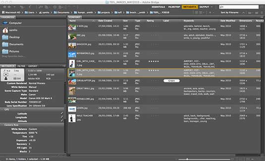 photo organization tools: Adobe Bridge