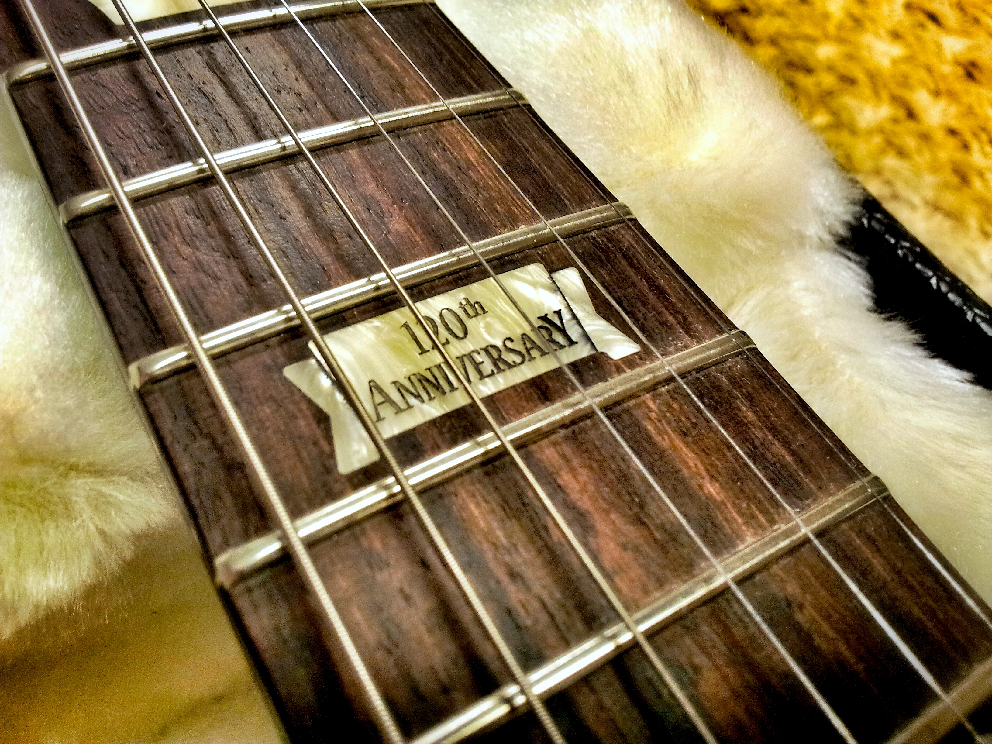 Gibson 2014 Les Paul Futura unboxed