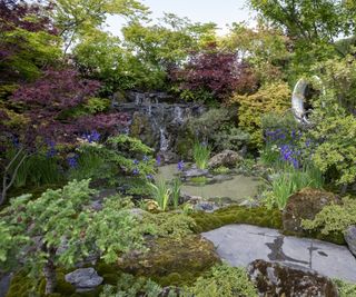 MOROTO no IE. garden at Chelsea Flower Show