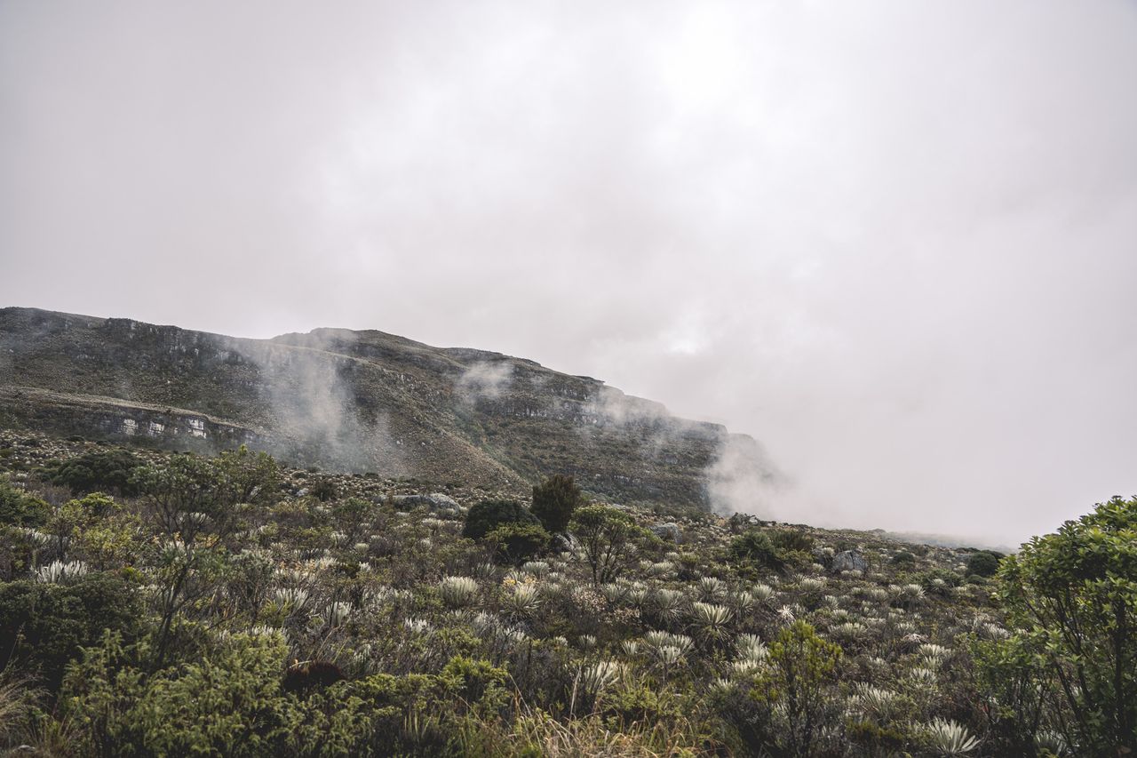 Scenery on stage 7, the queen stage