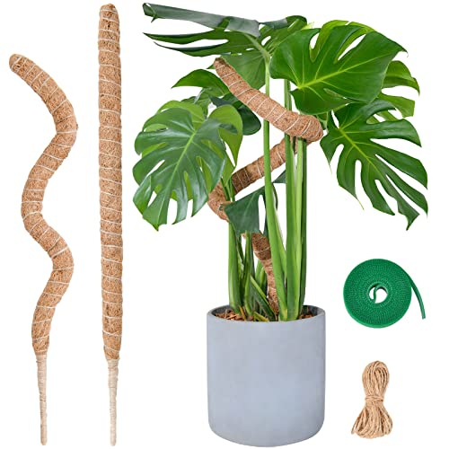 Bendable Moss Pole for Plants, Sproutmaven 2 X 60cm /23.6 Inch Monstera Moss Pole Kit for Climbing Plants Handmade Slim Plant Stakes for Indoor Plants