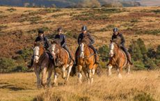 Dartmoor-Training-LOW1.jpg