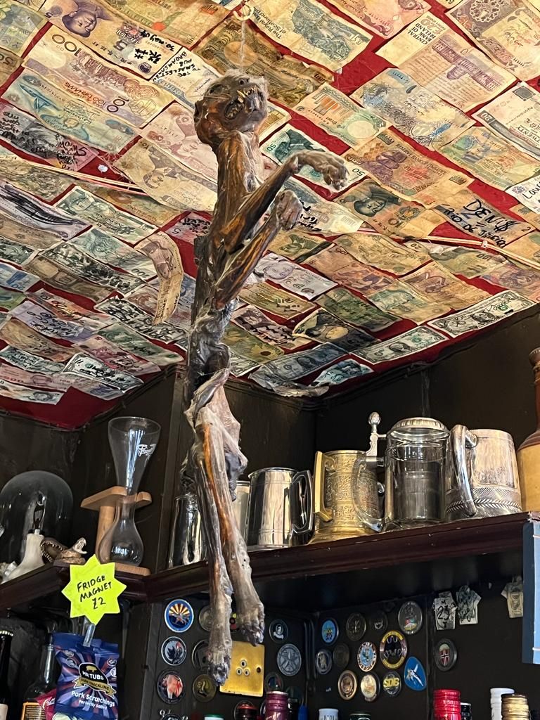 Side view of the mummified cat hanging from the ceiling of The Nutshell Pub in Suffolk