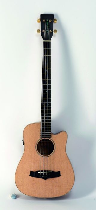 A compact electro-acoustic bass.