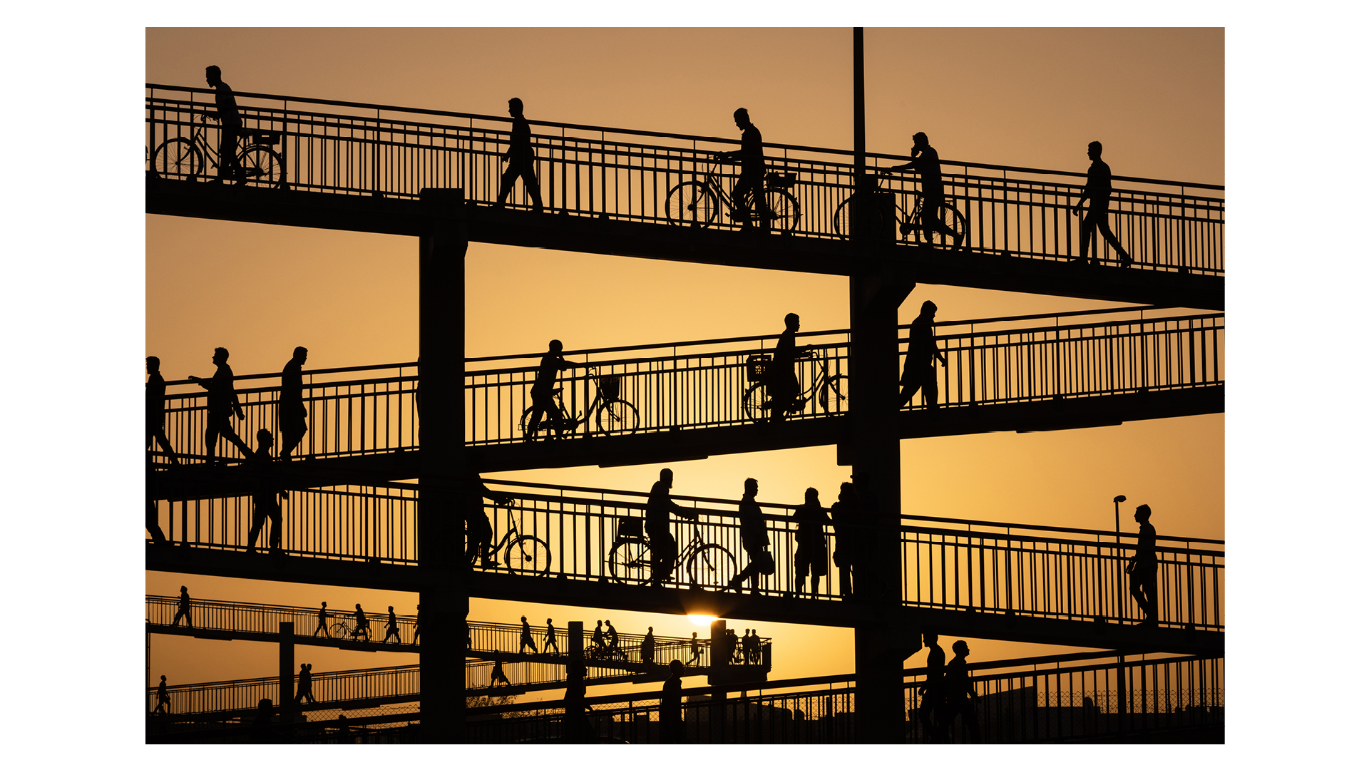 Photograph of Aweer Market Bridge in Dubai, showing cyclists and pedestrians crossing the Sheikh Zayed Road, taken by Shyjith Onden Cheriyath and the Runner-Up of One Shot: Cities, Towns, Streets in Travel Photographer of the Year 2024
