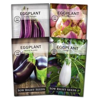 Sow Right Seeds - Eggplant Seed Collection for Planting - Black Beauty, Casper, Rosa Bianca and Long Purple Varieties - Non-Gmo Heirloom Packet - Plant and Grow an Outdoor Home Vegetable Garden