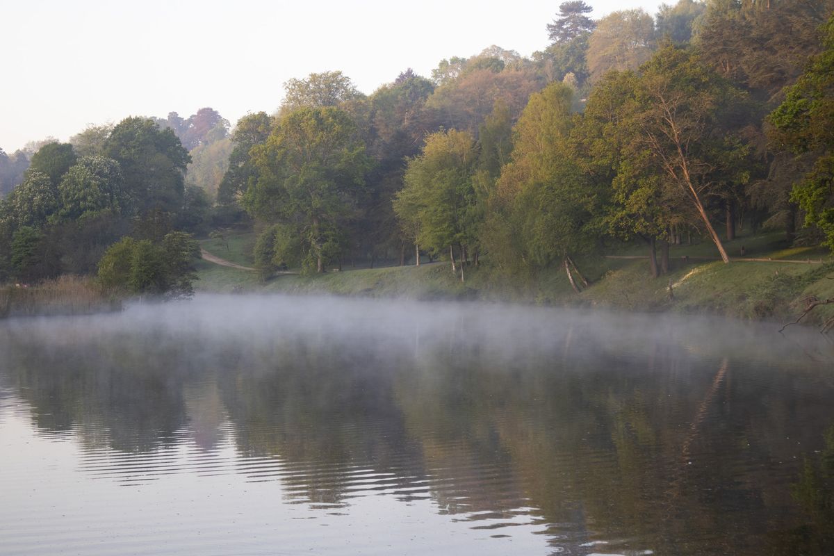 Photo of a lake with mist hoerving over the water and an arboretum behind it, taken with the Canon EOS R100