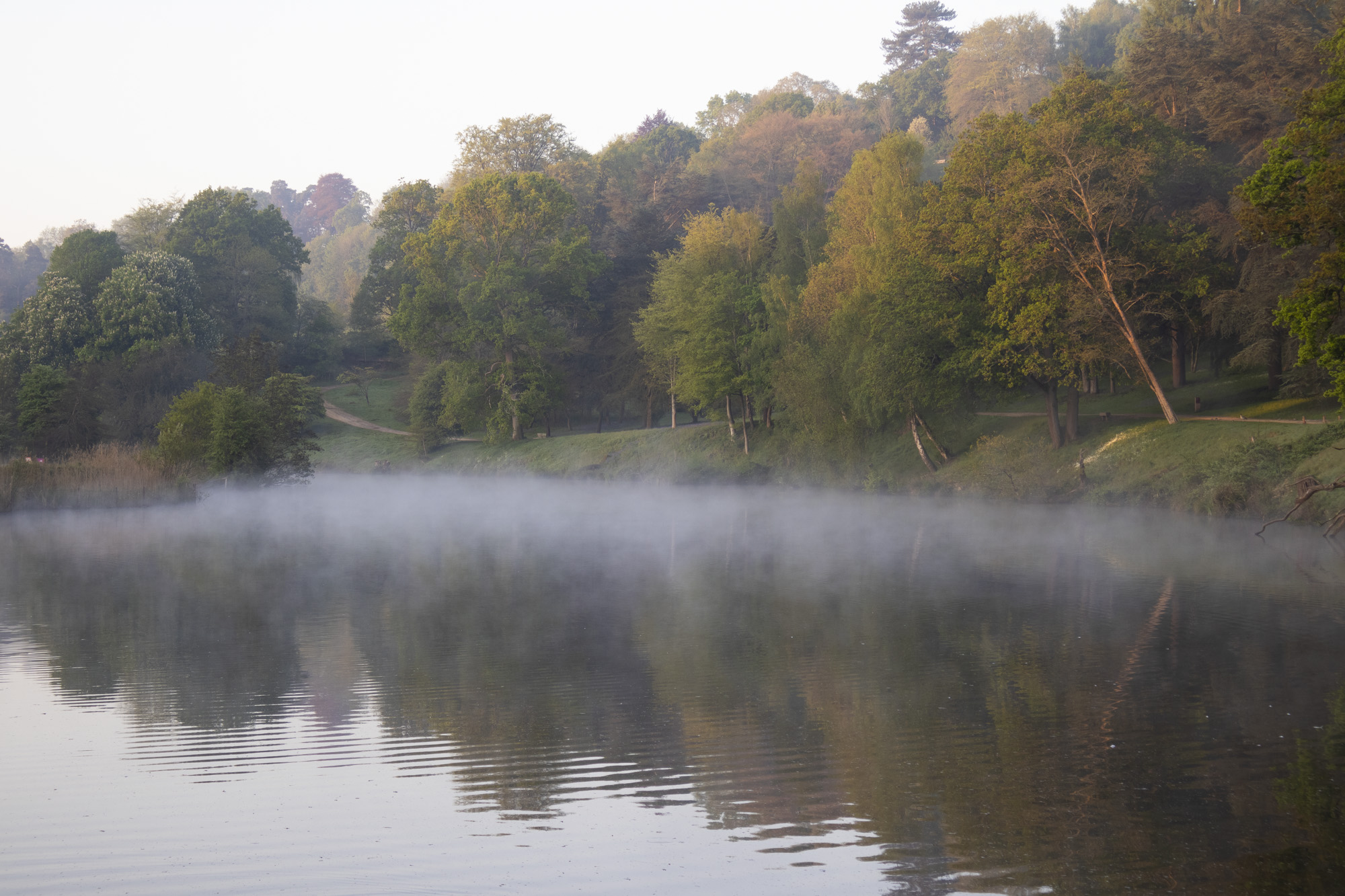 Photo of a lake with mist hoerving over the water and an arboretum behind it, taken with the Canon EOS R100