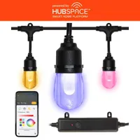 Hampton Bay 24 ft. Indoor/Outdoor String Light Powered by Hubspace