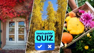 A composite image shows a red climbing plant growing by a window, a forest of golden yellow trees, and a tray filled with squashes and fall flowers, overlaid with a Tom's Guide Quiz graphic