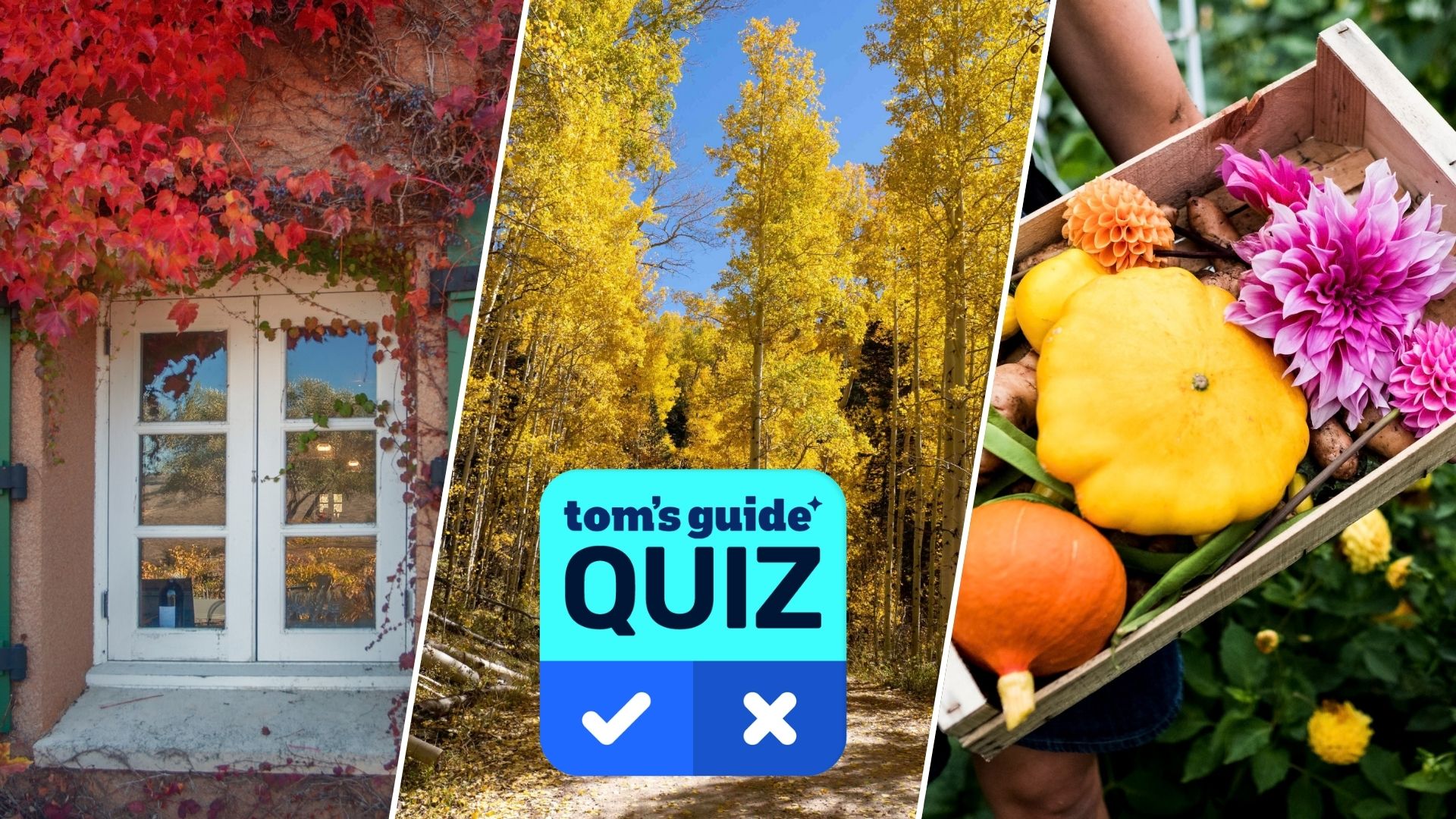 A composite image shows a red climbing plant growing by a window, a forest of golden yellow trees, and a tray filled with squashes and fall flowers, overlaid with a Tom's Guide Quiz graphic
