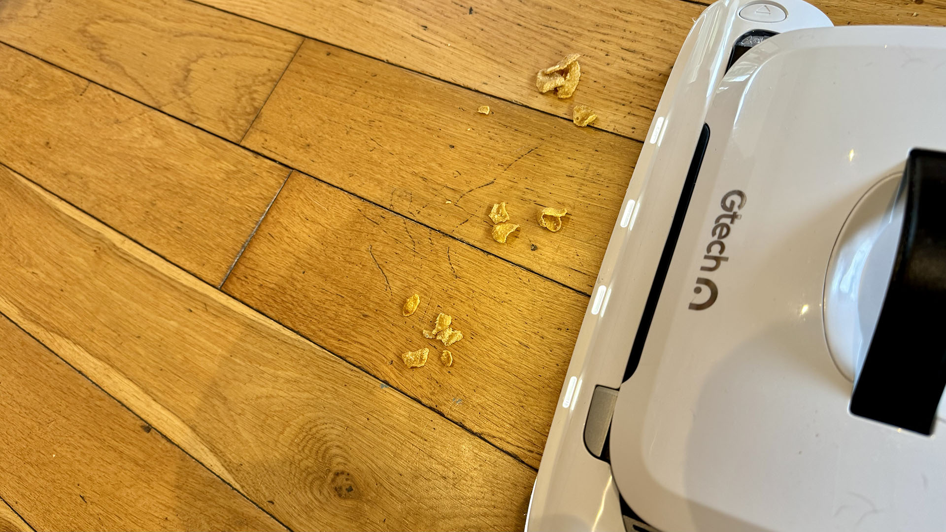 Crunchy nut Cornflakes on a hard floor, being vacuumed up by the Gtech AirRam 3 vacuum cleaner sucking up frosted corn flakes on a hard wood floor