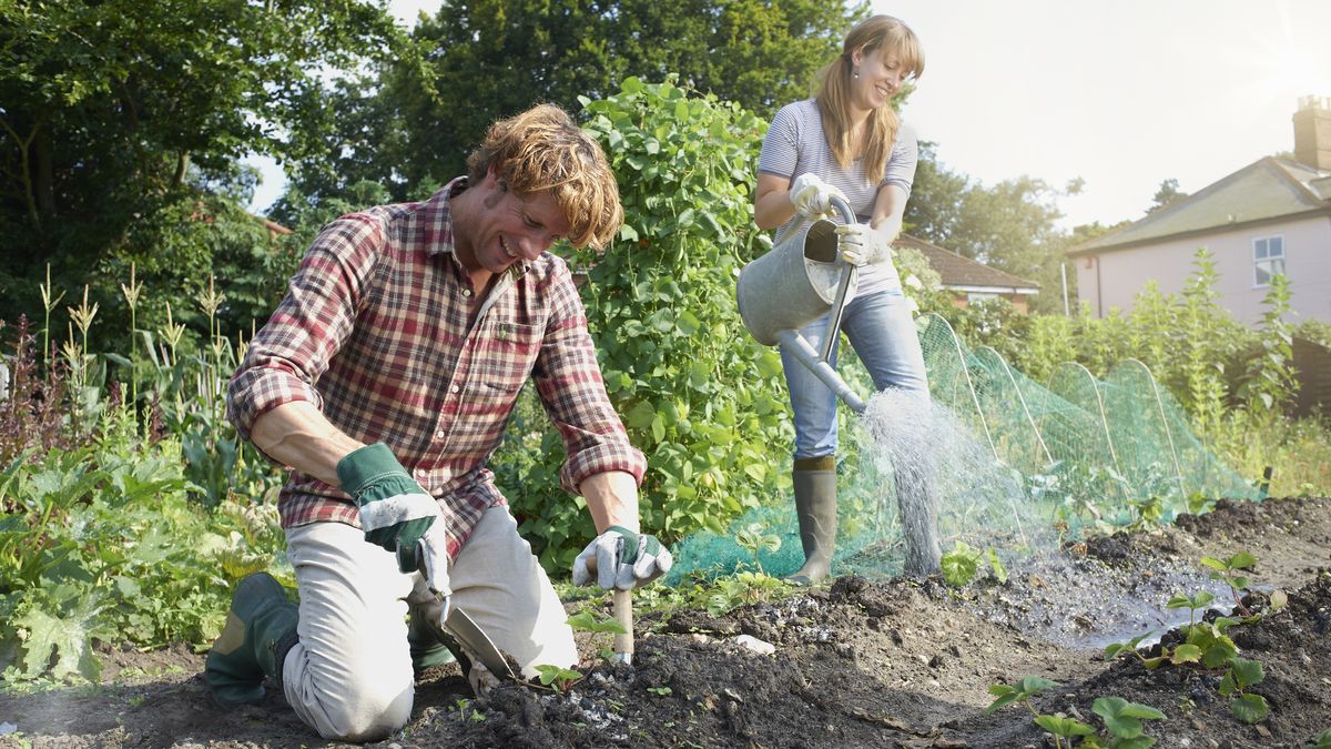 10 must-have gardening gadgets for summer 2022