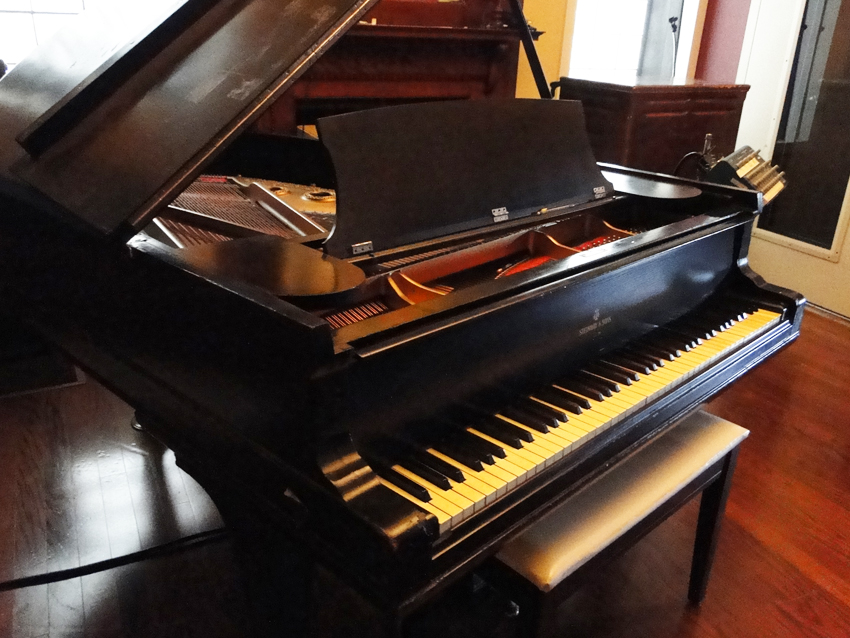 Piano Room - 1881 Steinway grand