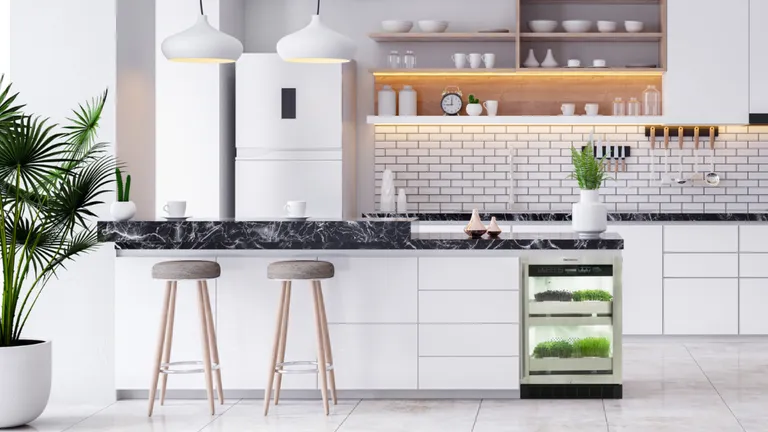 kitchen with hydroponic garden