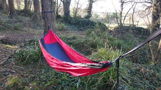 Eagles Nest Outfitters SingleNest hammock in woodland