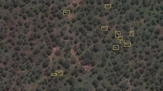 Elephants photographed from space by Maxar Technologies