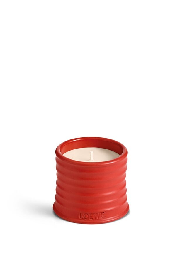 LOEWE Perfumes, Small Tomato Leaves Candle