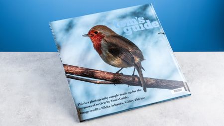 Vistaprint photo book pages photographed on a table in front of a blue background
