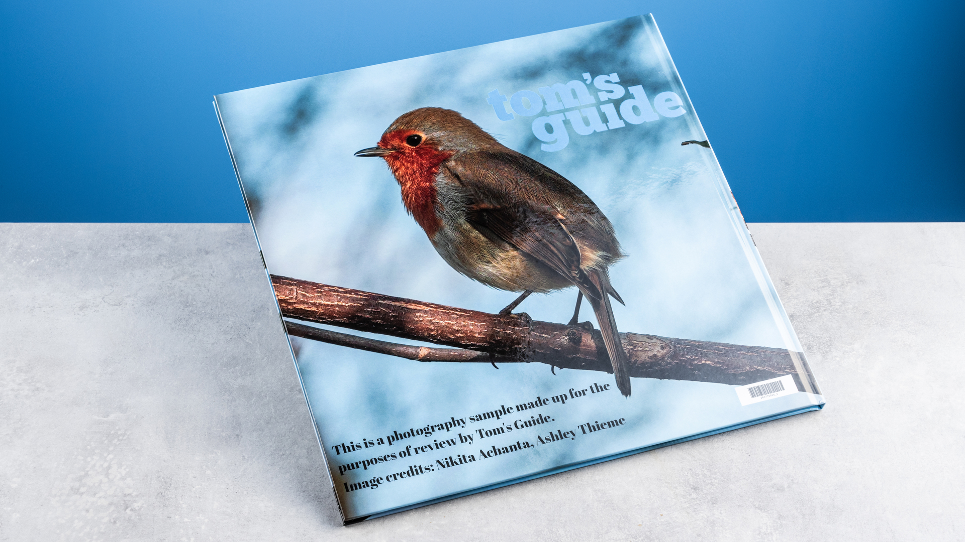 Vistaprint photo book pages photographed on a table in front of a blue background