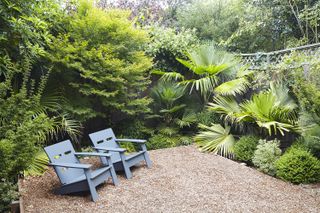 tropically planted backyard with two modern outdoor chairs