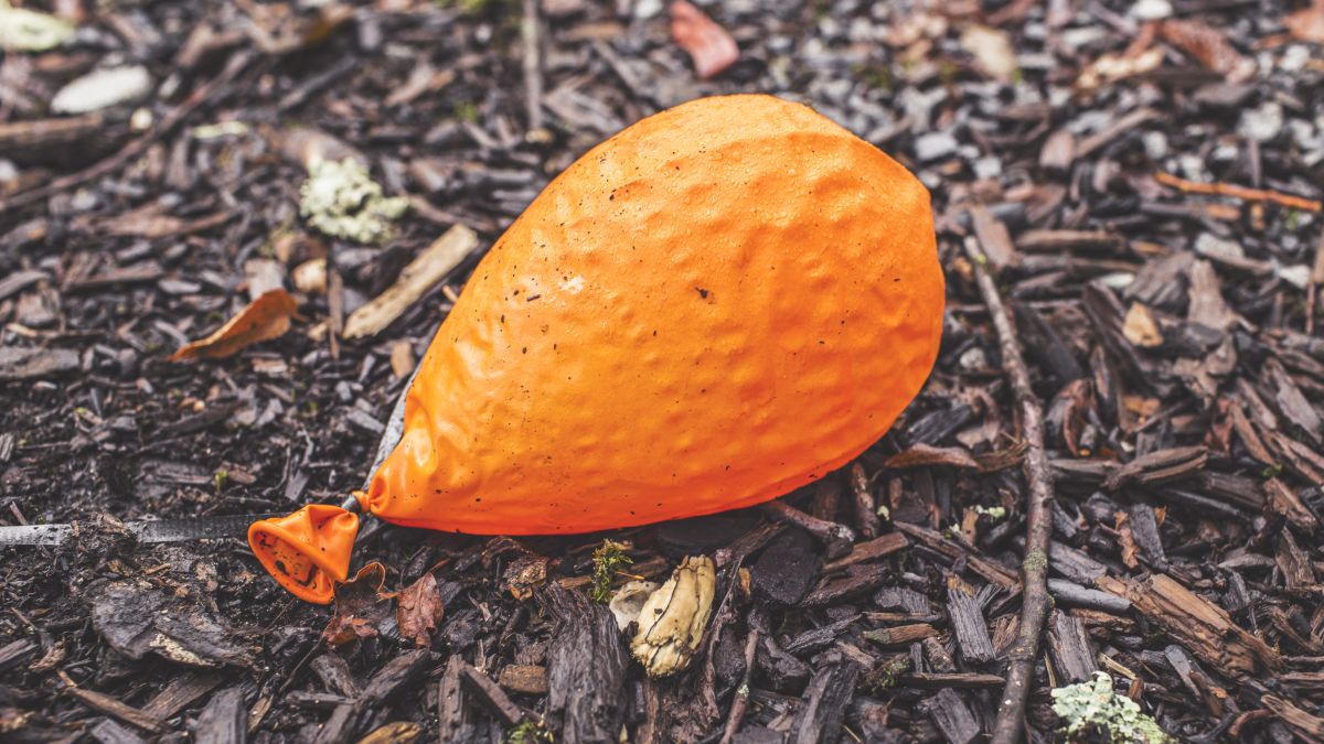 How a balloon and a rubber band helped me swim faster TechRadar