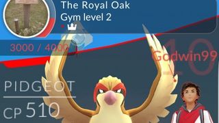 Pokemon Go gym