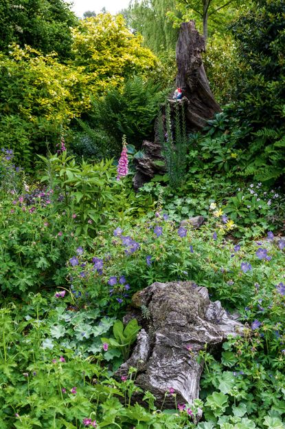 Among the geraniums and self-seeded foxgloves, there is even room for a pair of gnomes high in the stumpery. Raymill, Wiltshire. ©Jason Ingram