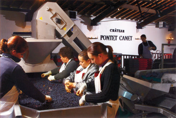 000008bd8-Chateau_Pontet_Canet.jpg