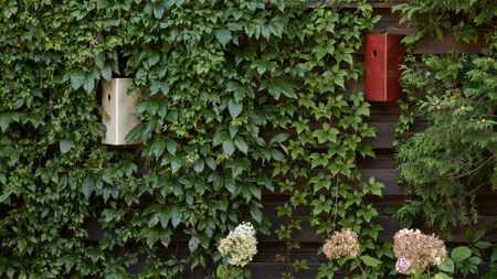 bird houses on garden wall