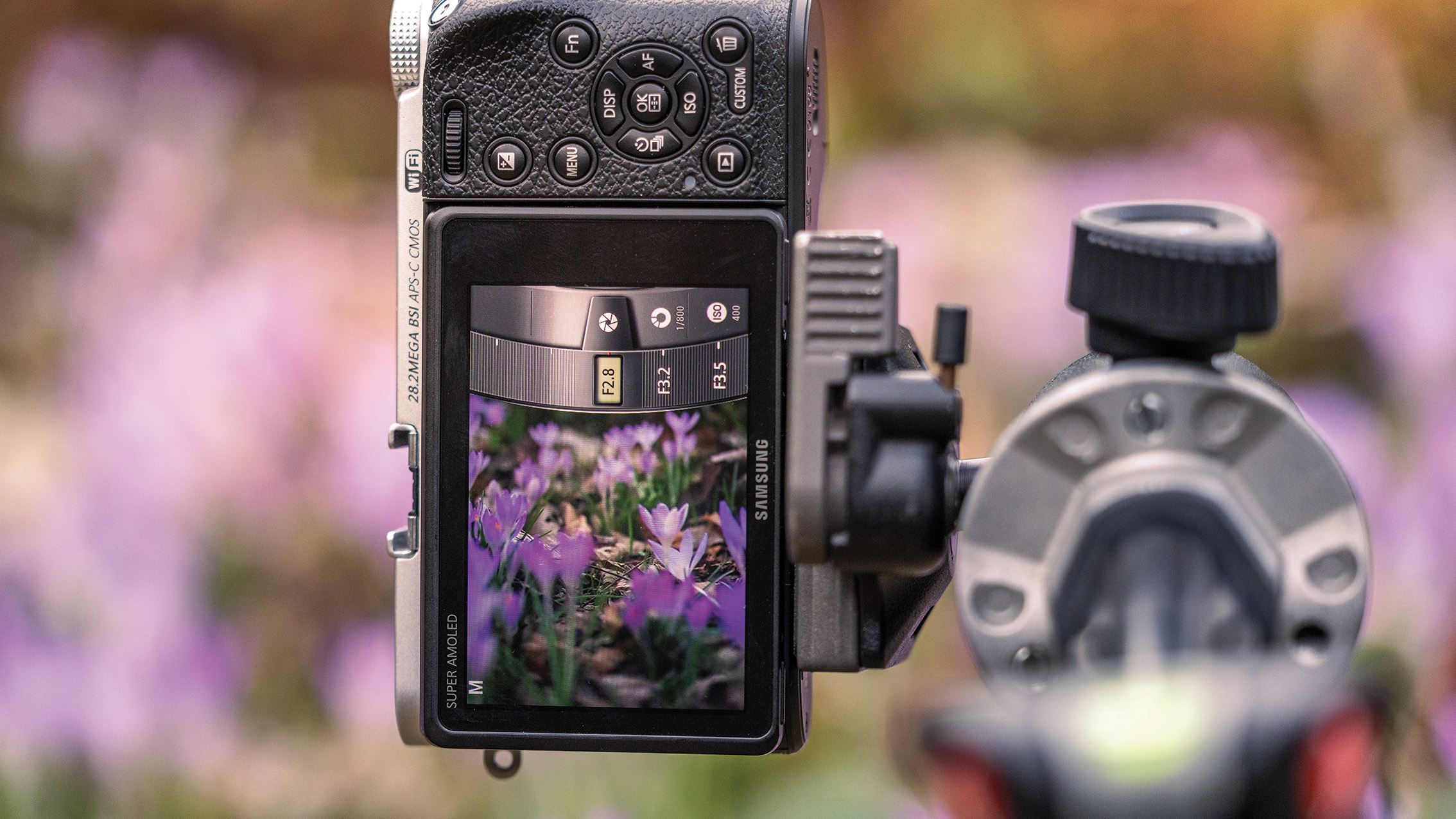 Close-up of a camera on a tripod capturing purple flowers in a field. The camera screen shows the vibrant petals in focus, with a blurred background