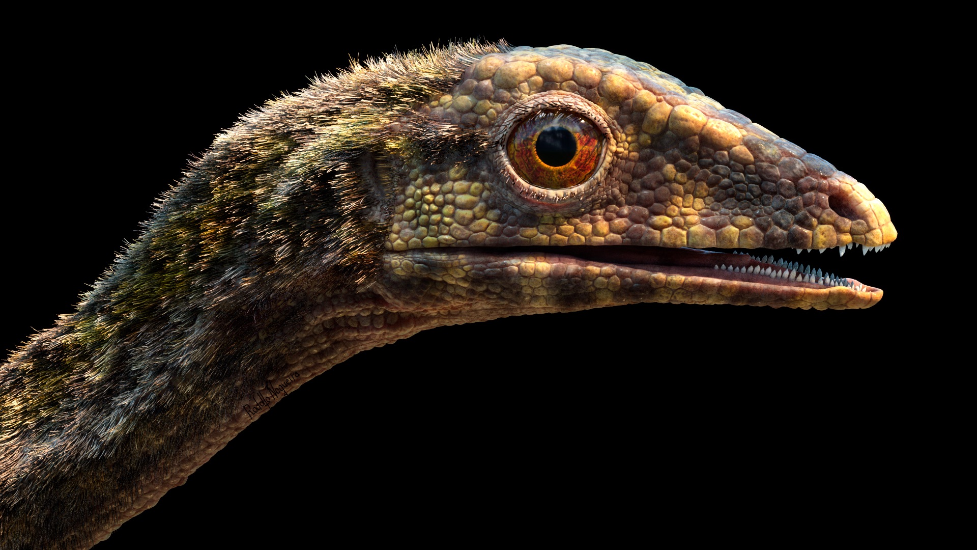 Large pterosaurs were better parents than their smaller, earlier  counterparts, study finds