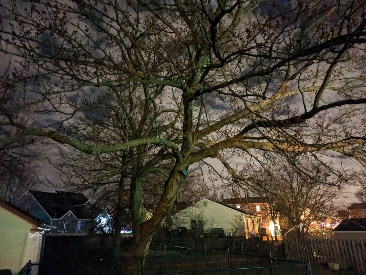 Google Pixel 7a Low Light Sample.