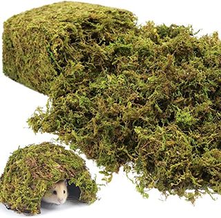 Riare 1.3lbs Artificial Fake Moss for Fake Plants Indoor- Premium Faux Craft Moss for Potted Plant, Fresh Green Moss Forest Moss for Hamsters Micro-Landscape Terrariums Centerpieces Decor