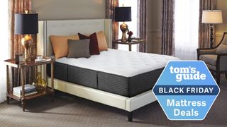 Image shows the The Ritz Carlton Bed in a luxury hotel room, with a blue Black Friday mattress deals badge overlaid