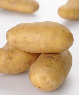 A mound of Belle de Fontenay potatoes