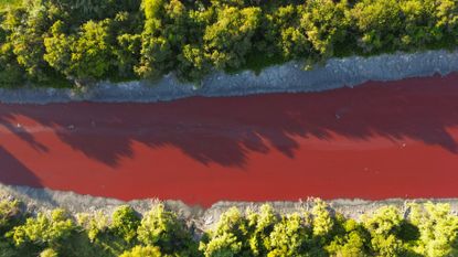 An aerial photograph of the Sarand&iacute; canal, which turned a blood red color on the outskirts of Buenos Aires.