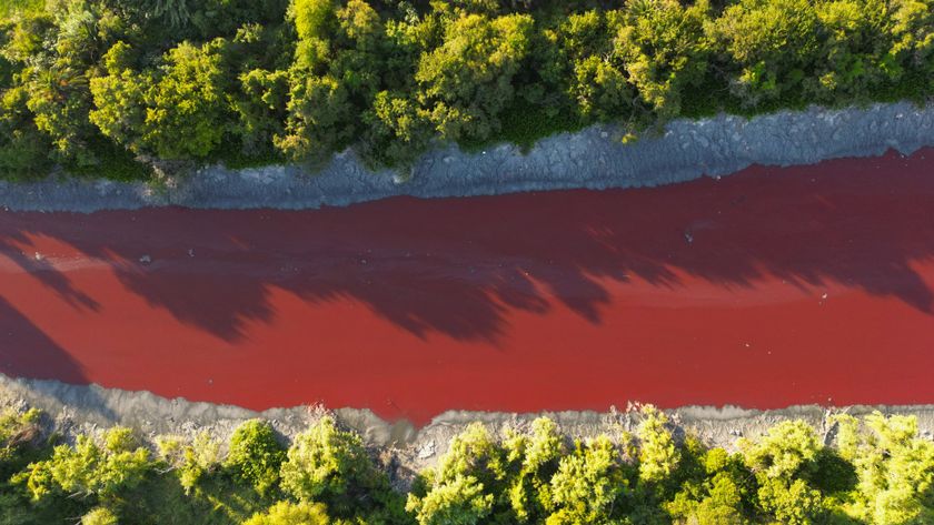 An aerial photograph of the Sarandí canal, which turned a blood red color on the outskirts of Buenos Aires.