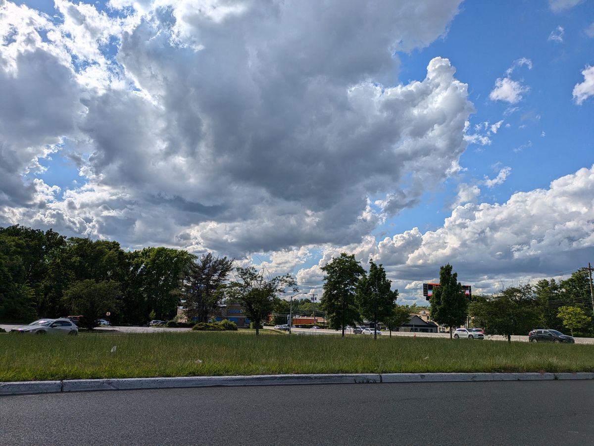 Google Pixel 8a main camera sample.