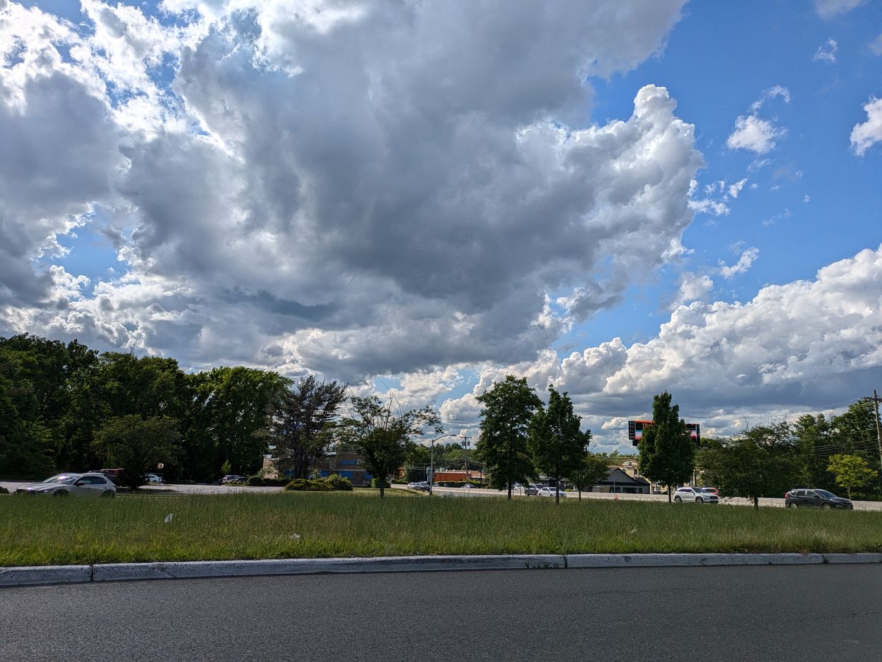 Google Pixel 8a main camera sample.