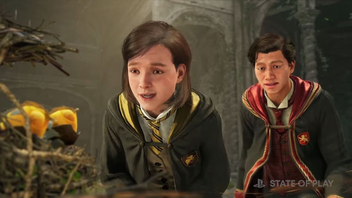 Hogwarts Legacy Deluxe - Ps5