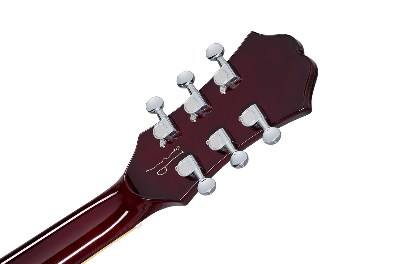 Epiphone Noel Gallagher Riviera