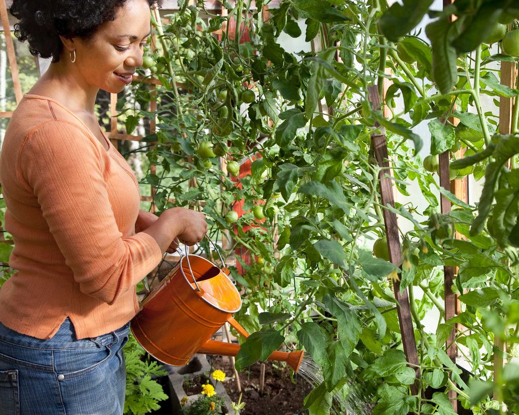 What to plant in a greenhouse: 10 top crops to grow | Gardeningetc