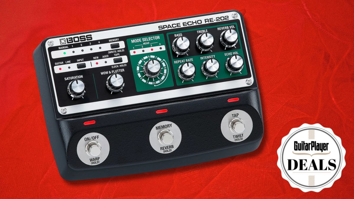 A Boss RE-202 Space Echo on a red background