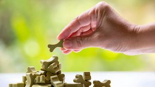 Person placing a single dog treat on top of a pile of treats